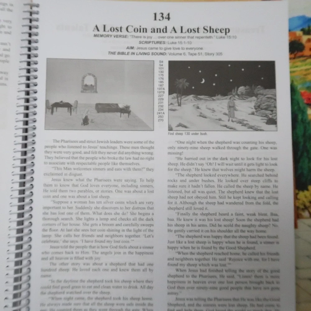 Huge Lot Felt Pages Large Box Display Scenes Betty Lukens Through the Bible